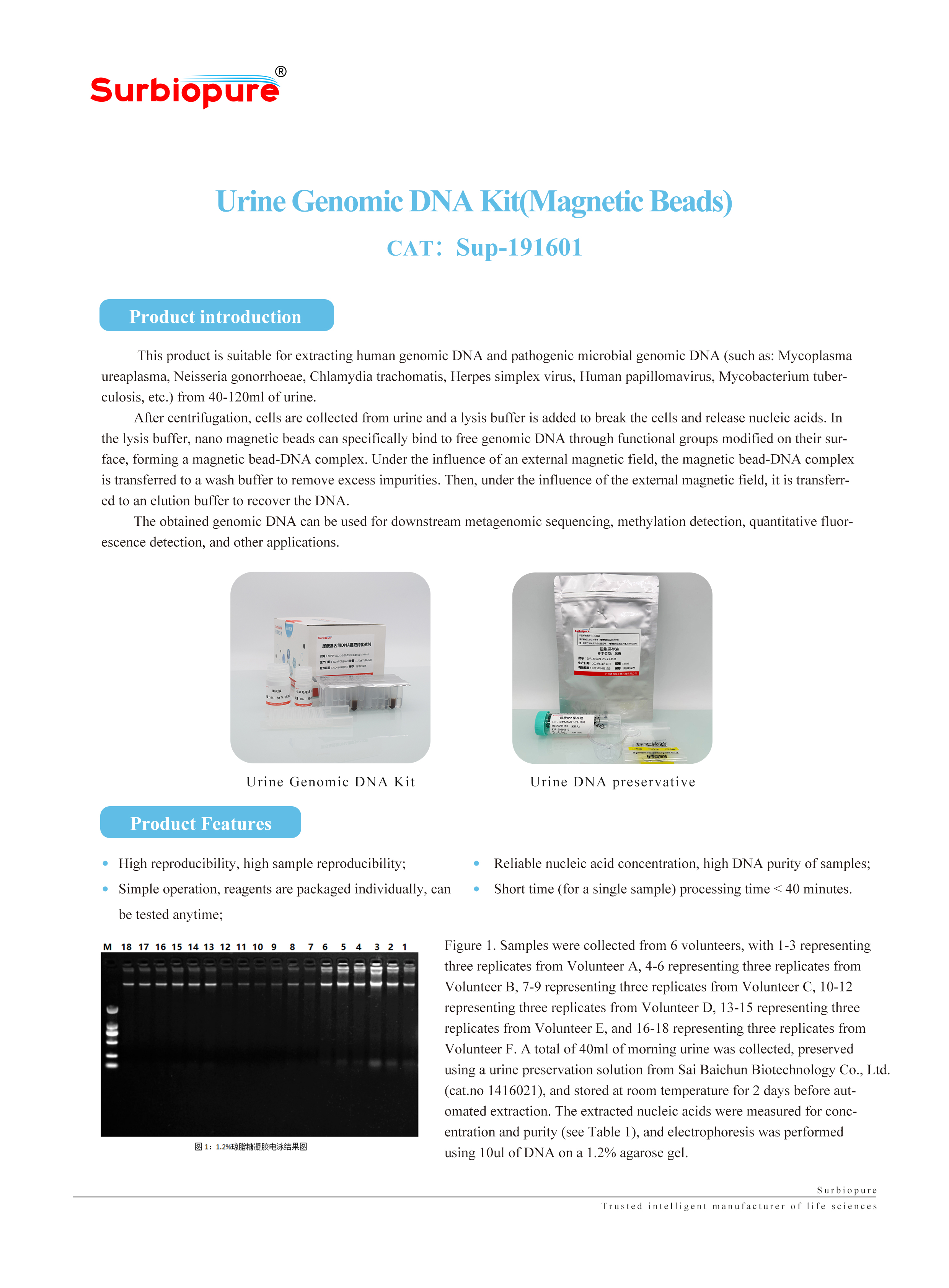 1736928341601110.jpg 畫(huà)板 25.jpg